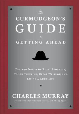 The Curmudgeon's Guide to Getting Ahead book cover