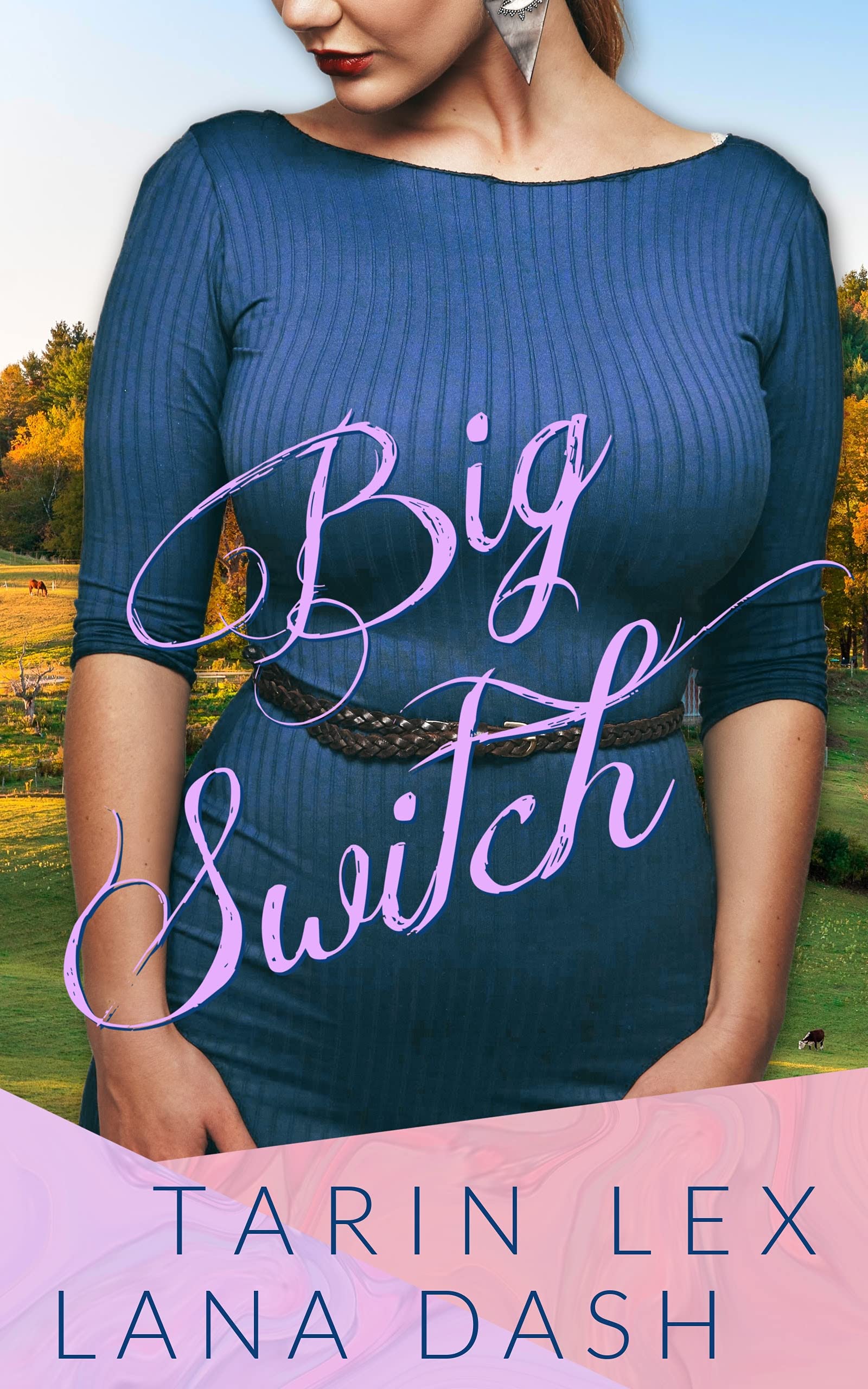 The Switch book cover 1