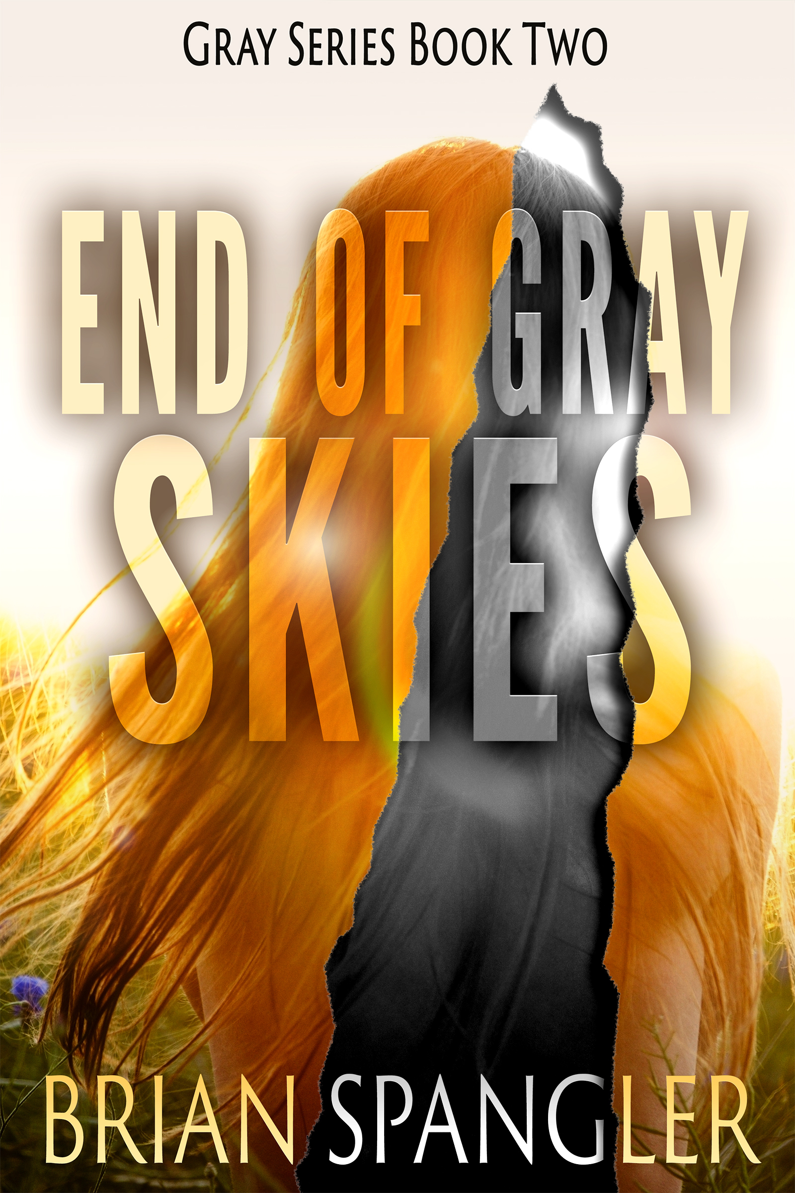 Gray book cover 2