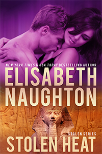 Stolen book cover 2