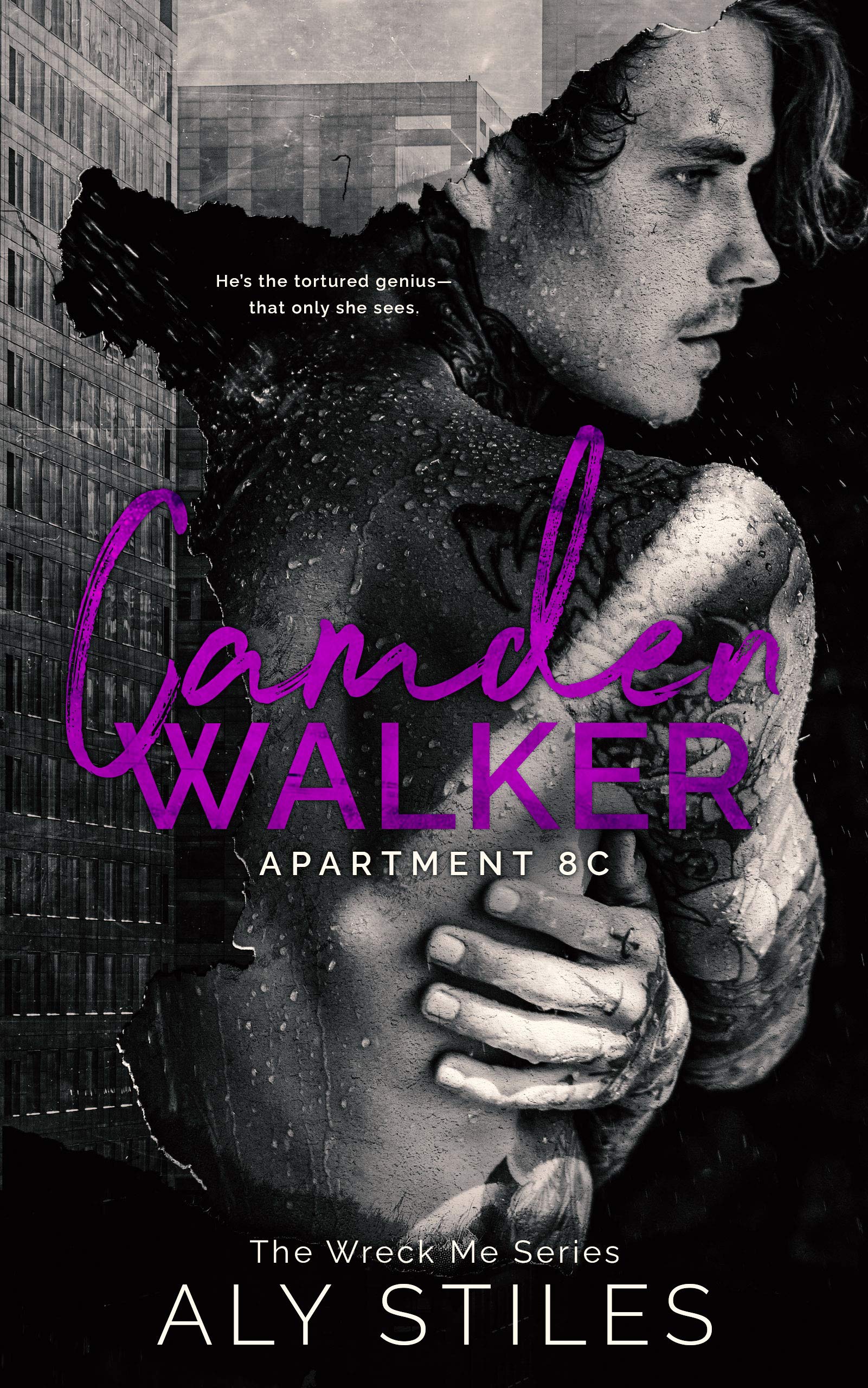 Wreck Me book cover 2