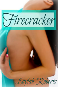Firecracker book cover