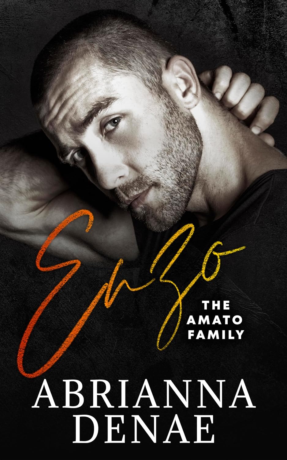 The Amato Family book cover 2