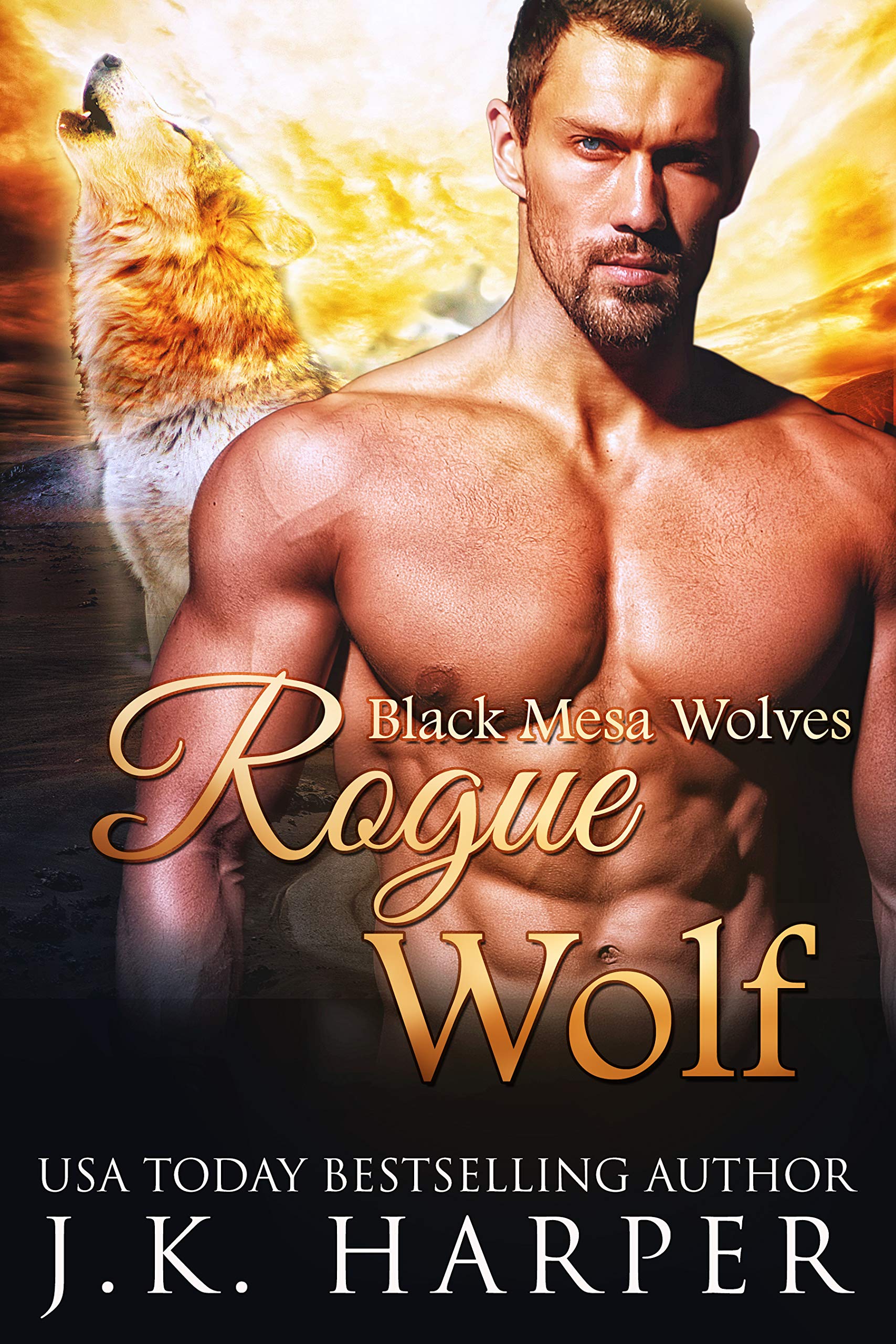 Rogue Wolf book cover