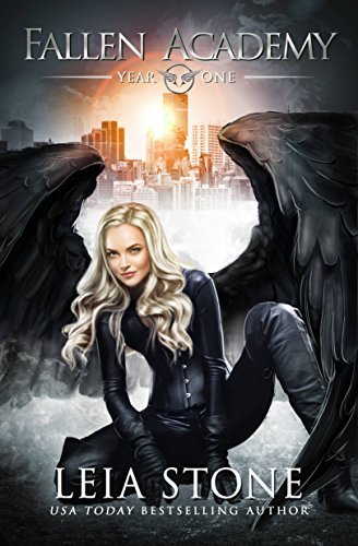Fallen Academy book cover 1
