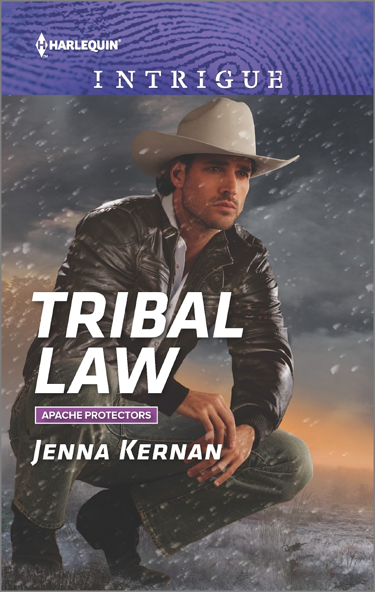 Apache Protectors book cover 3