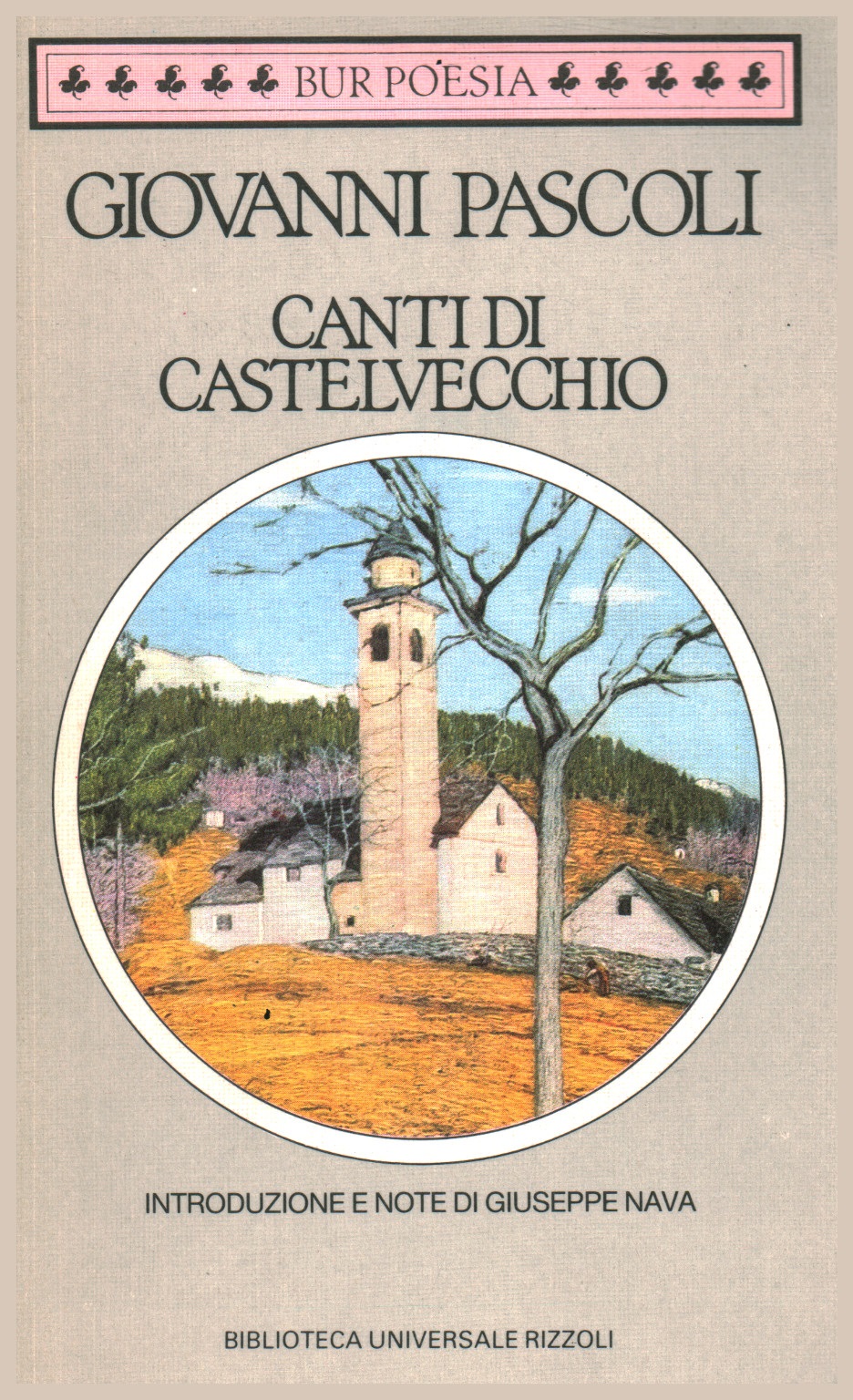Canti di Castelvecchio book cover