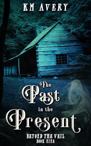 The Past in the Present book cover