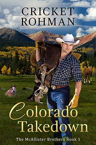 The McAllister Brothers book cover 1