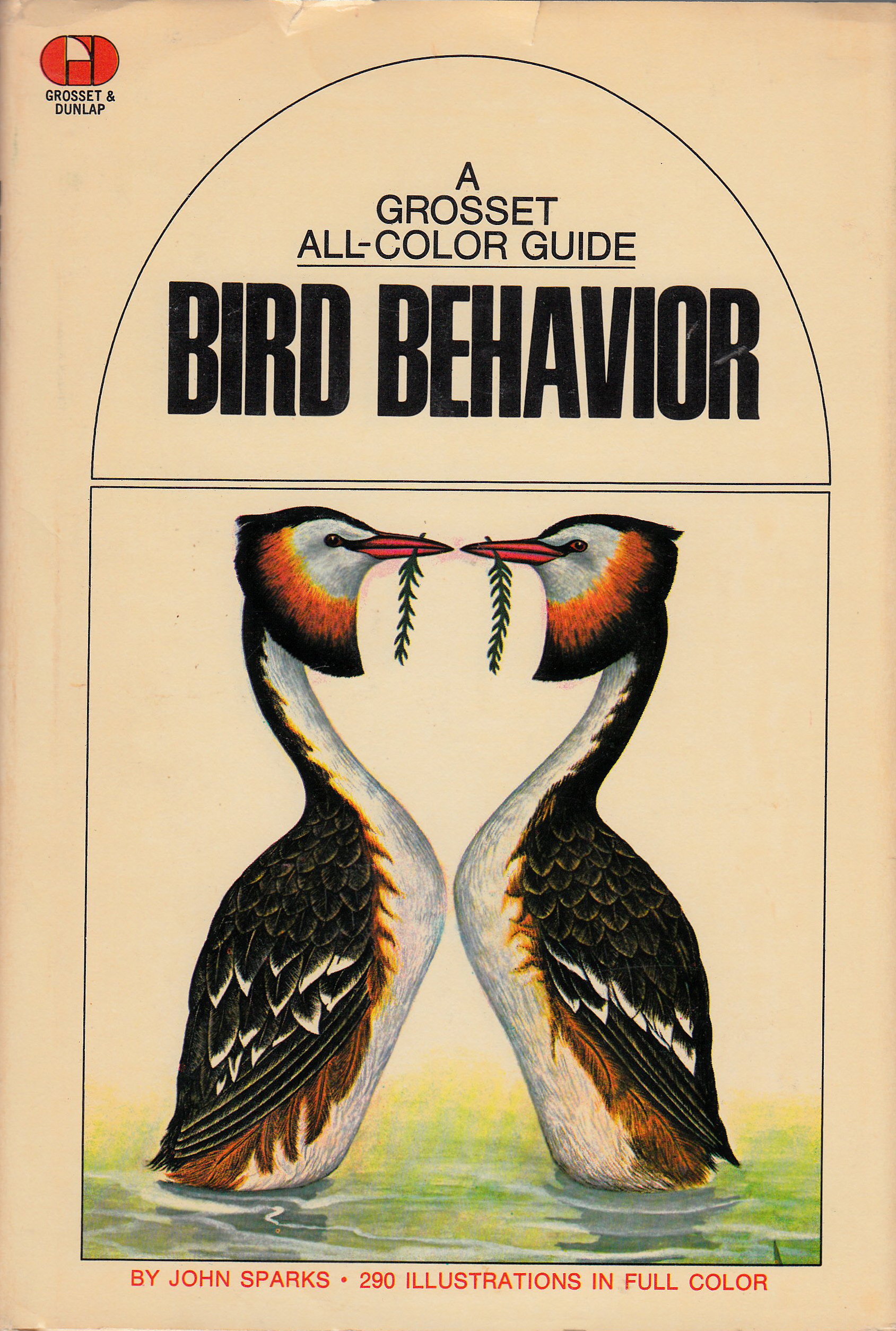 Knowledge Through Color book cover 2