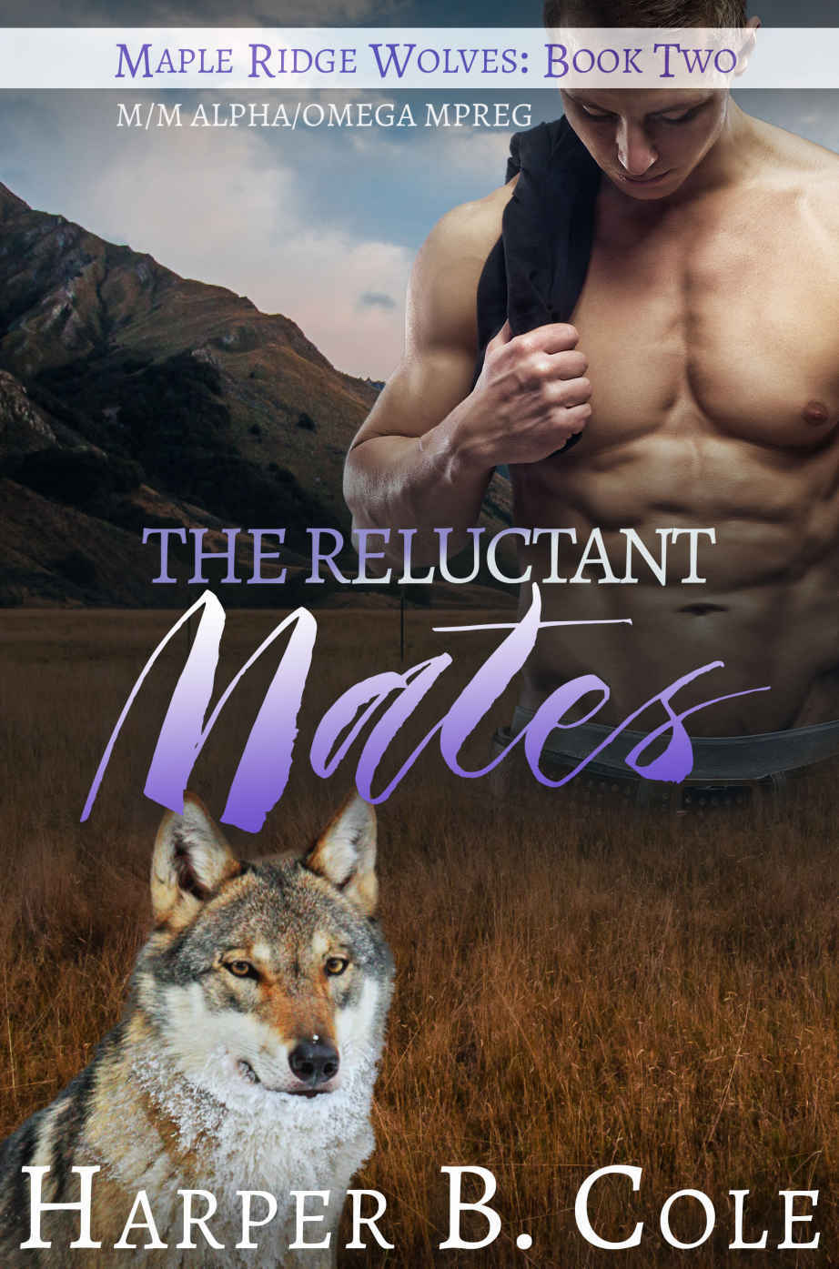 Maple Ridge Wolves book cover 2