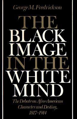 The Black Image in the White Mind book cover