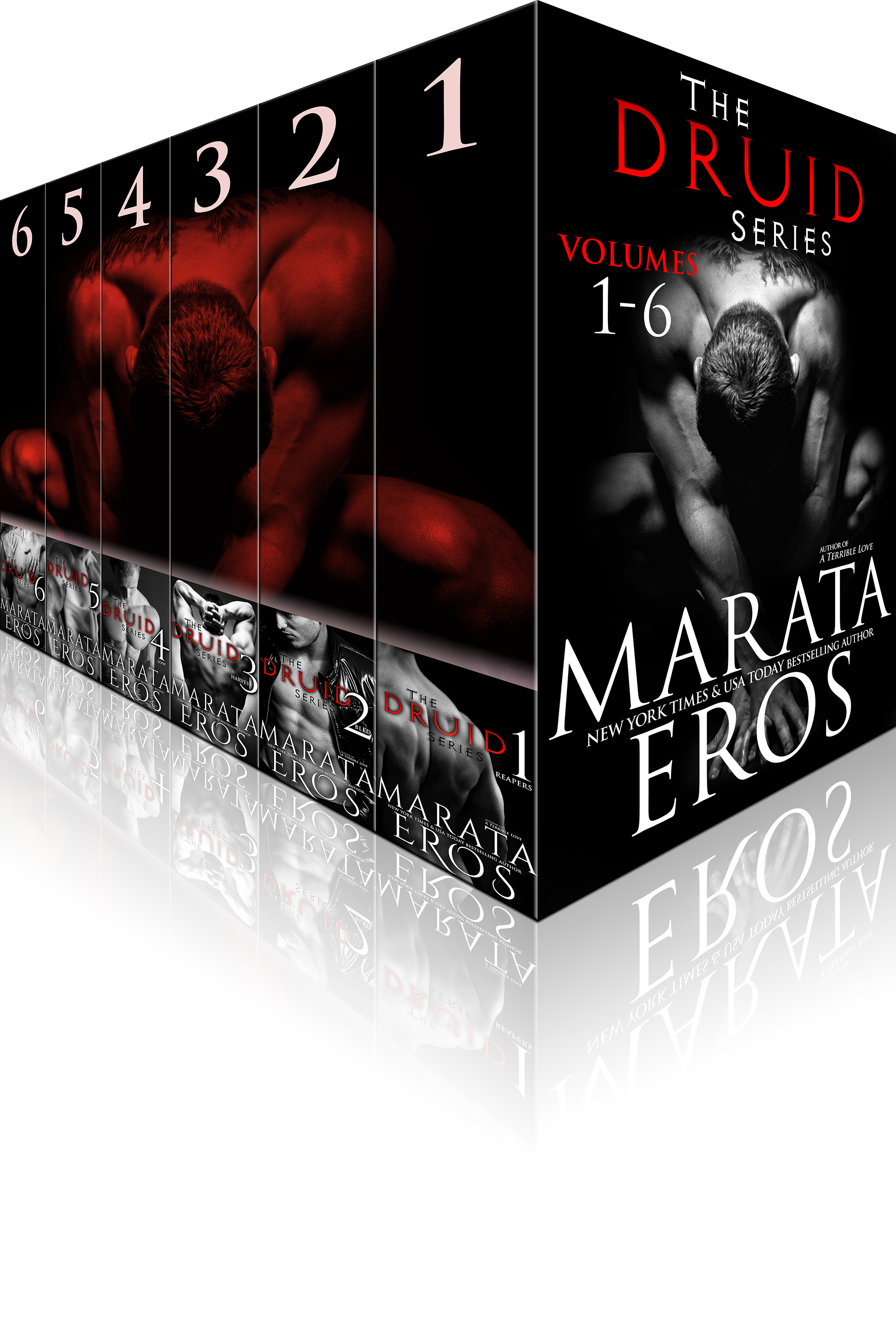 The Druid Series Box Set book cover