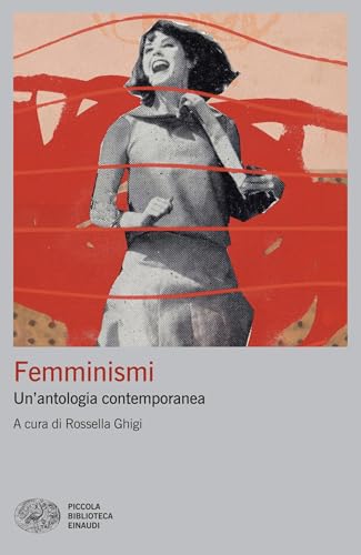 Femminismi book cover