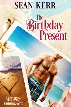 The Birthday Present book cover