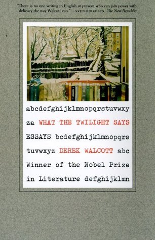 What the Twilight Says book cover