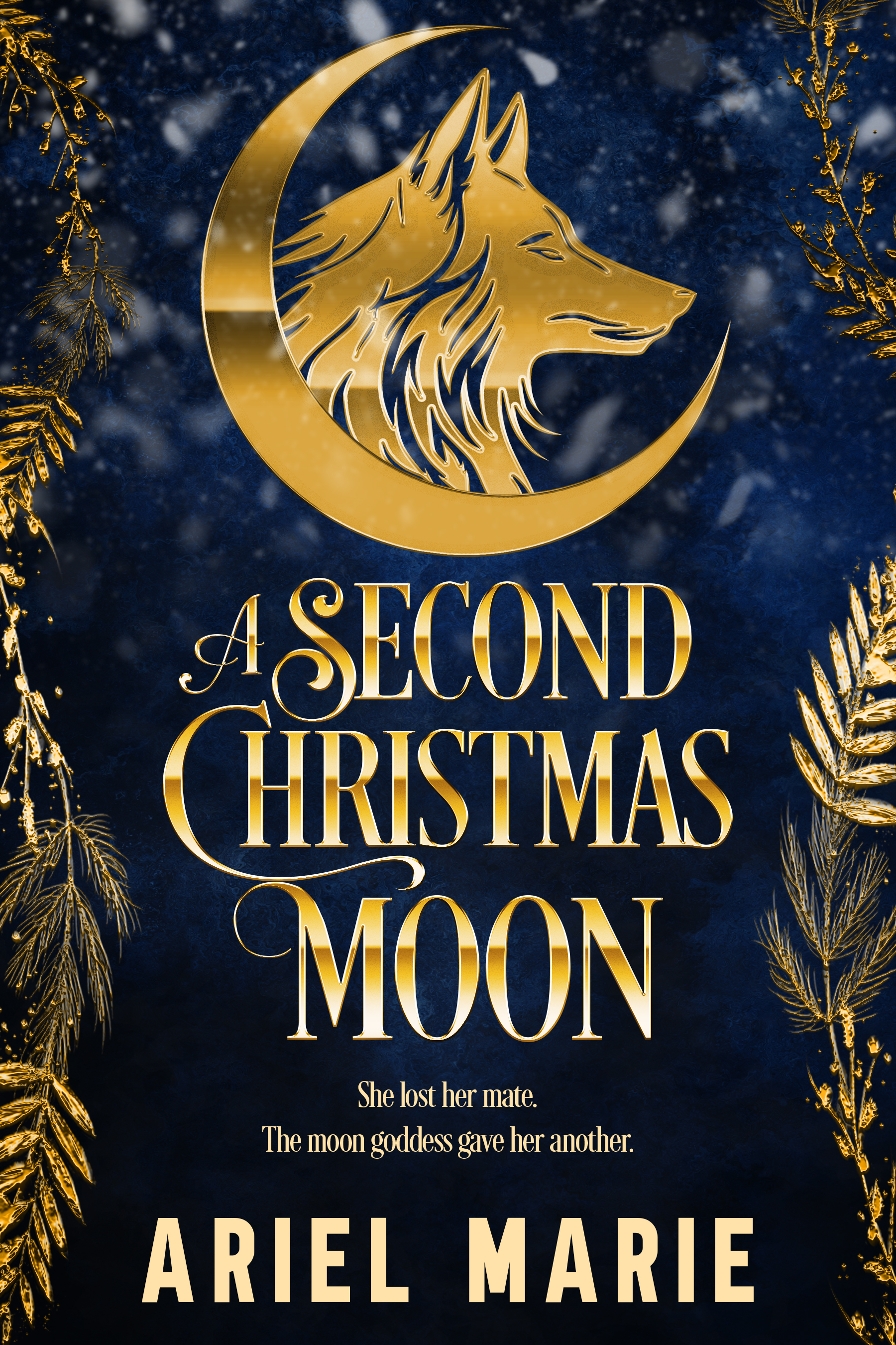 A Second Christmas Moon book cover