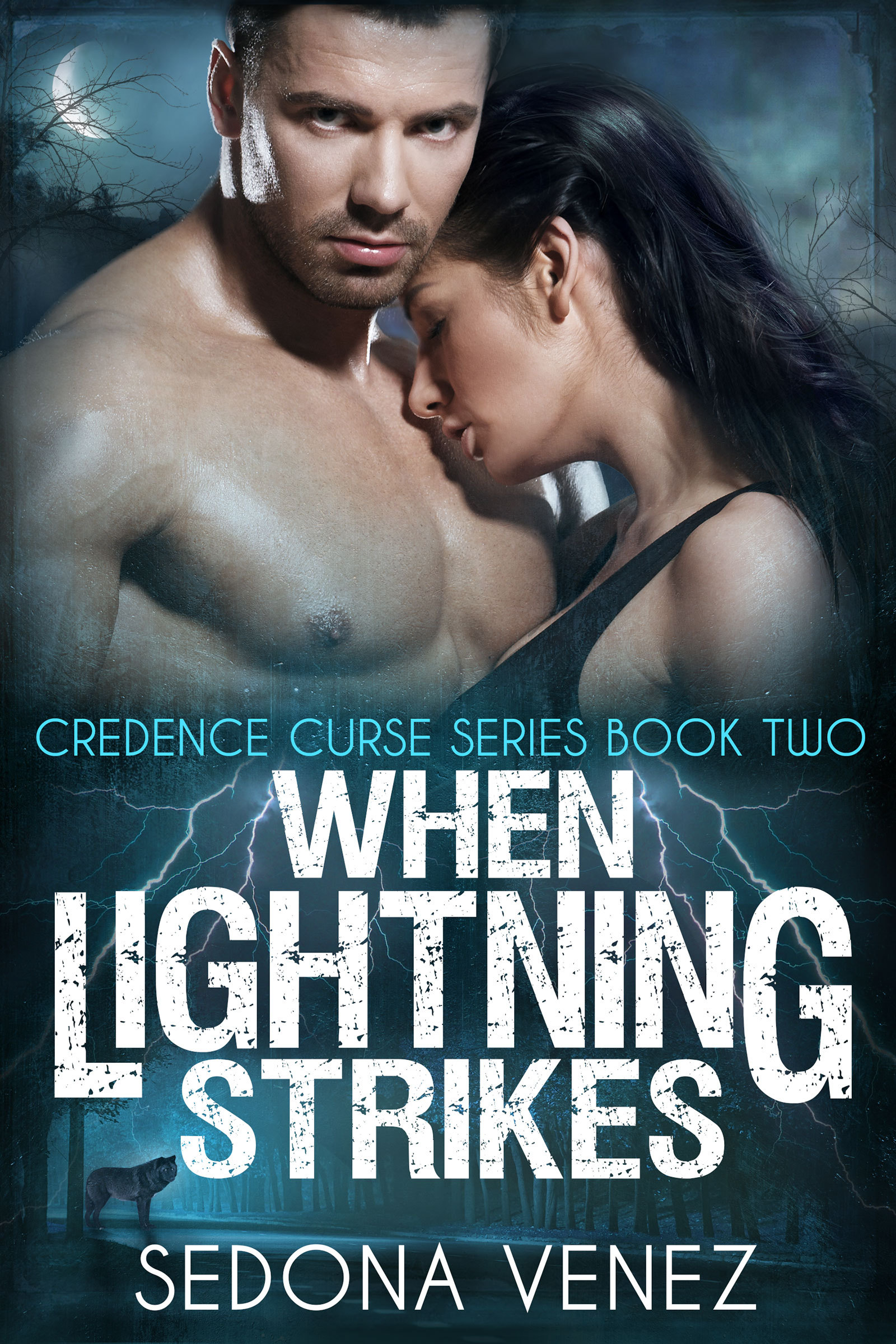 Credence Curse book cover 2