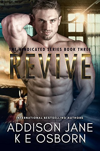 The Vindicated book cover 3