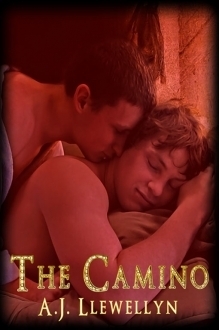 The Camino book cover
