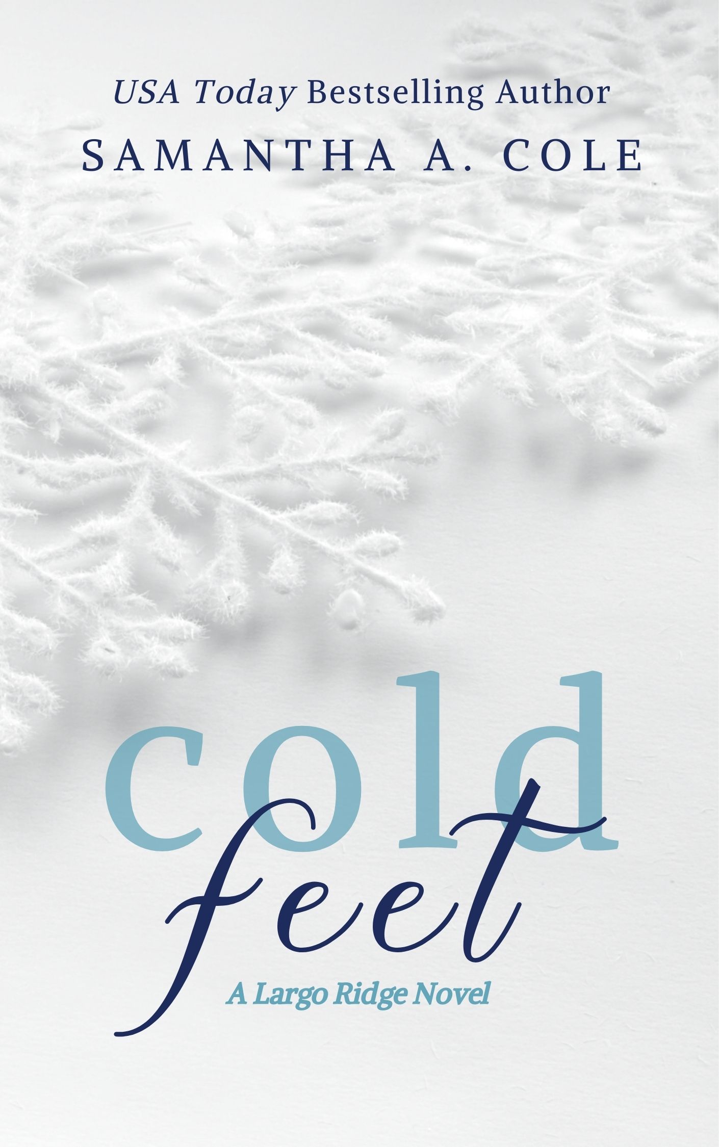 Largo Ridge book cover 1