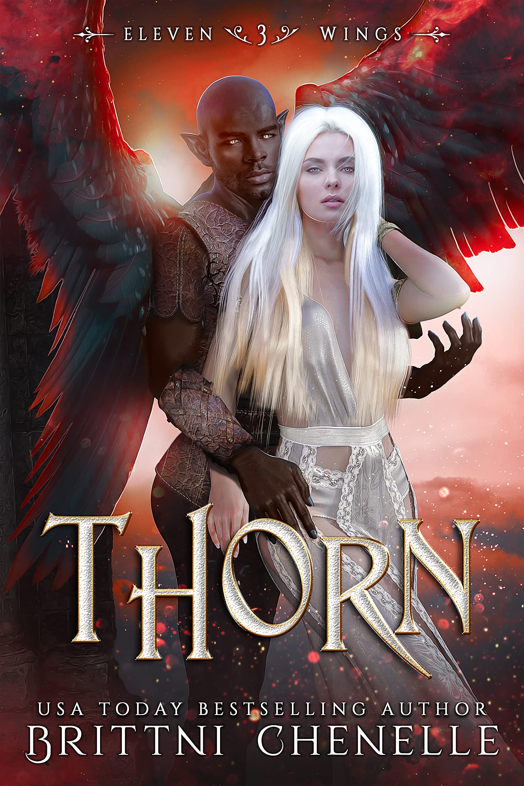 Eleven Wings book cover 3