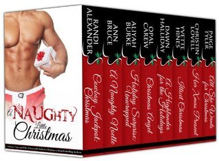A Naughty Little Christmas book cover