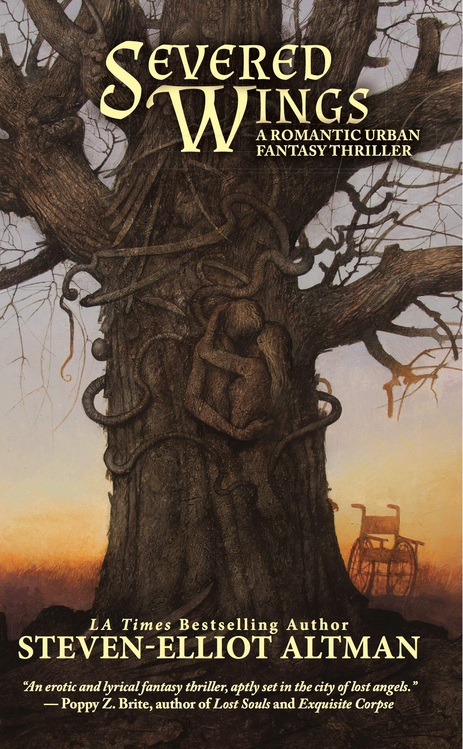 Severed Wings book cover