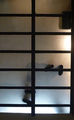Cielo de claraboyas book cover