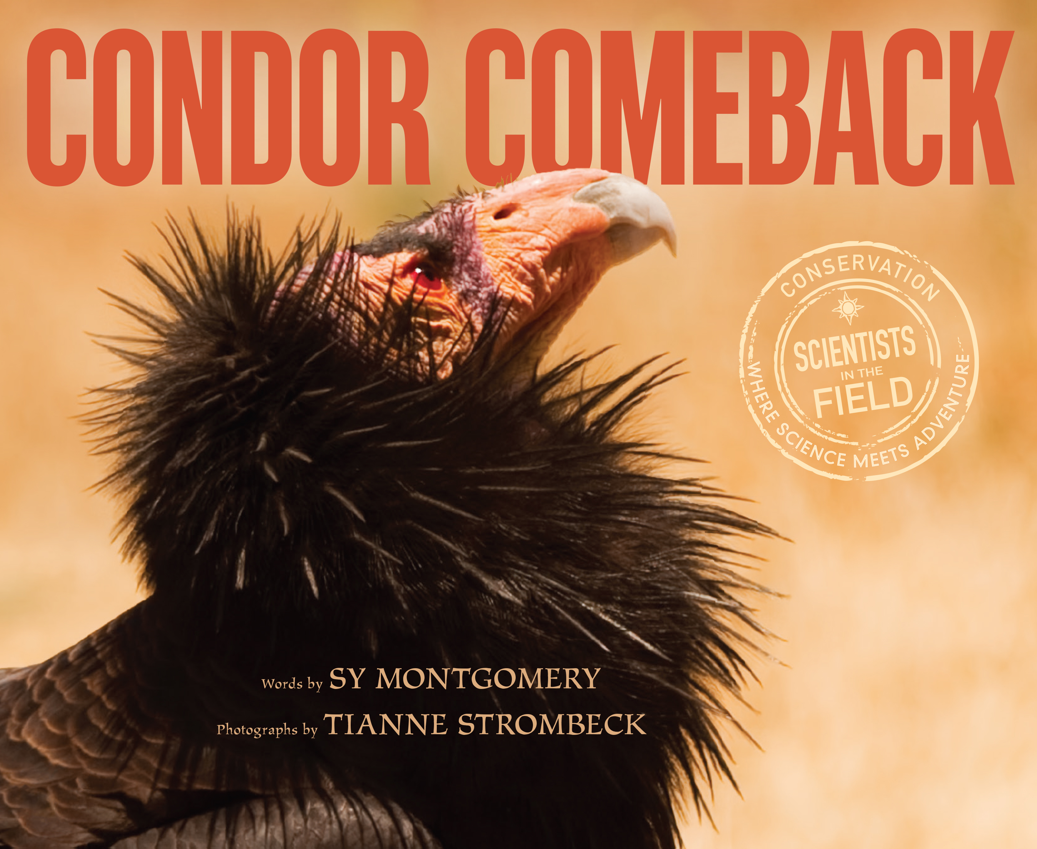 Condor Comeback book cover