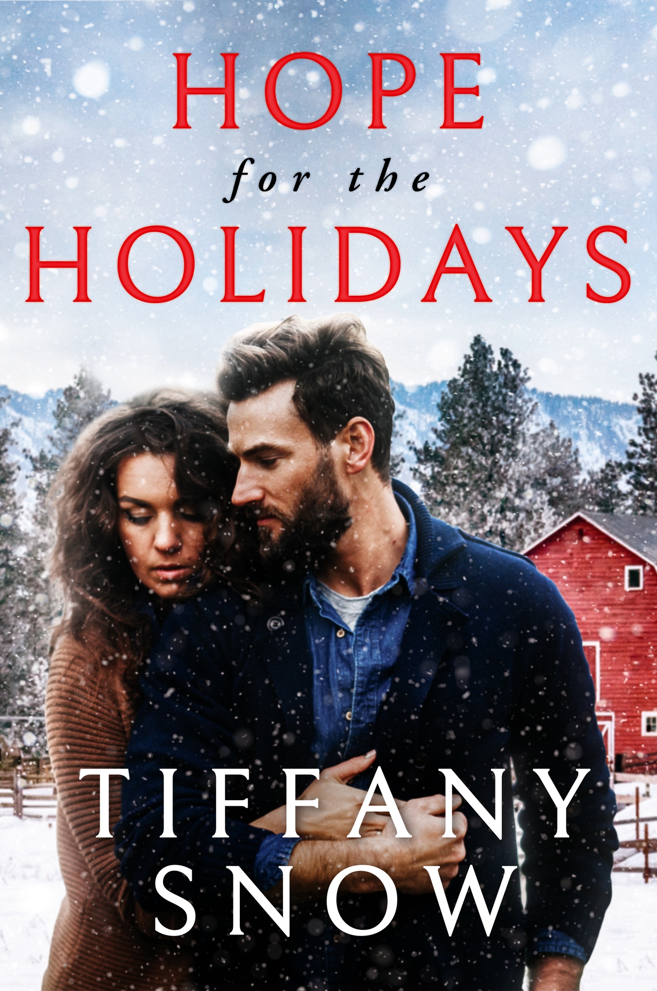 Hope for the Holidays book cover