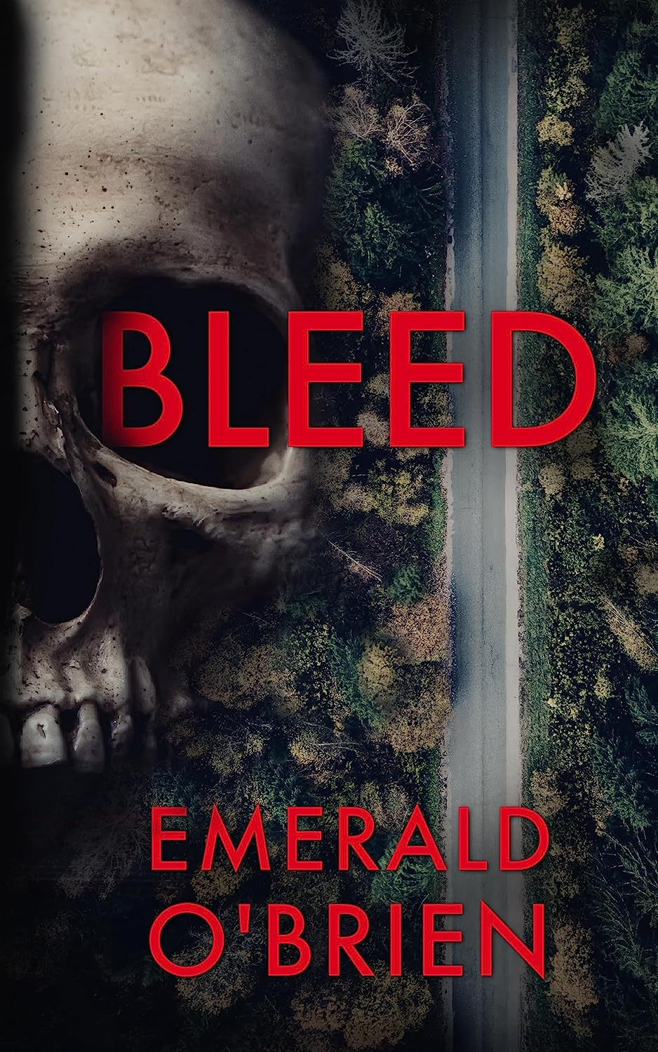 The Skull Serial Killer book cover 1