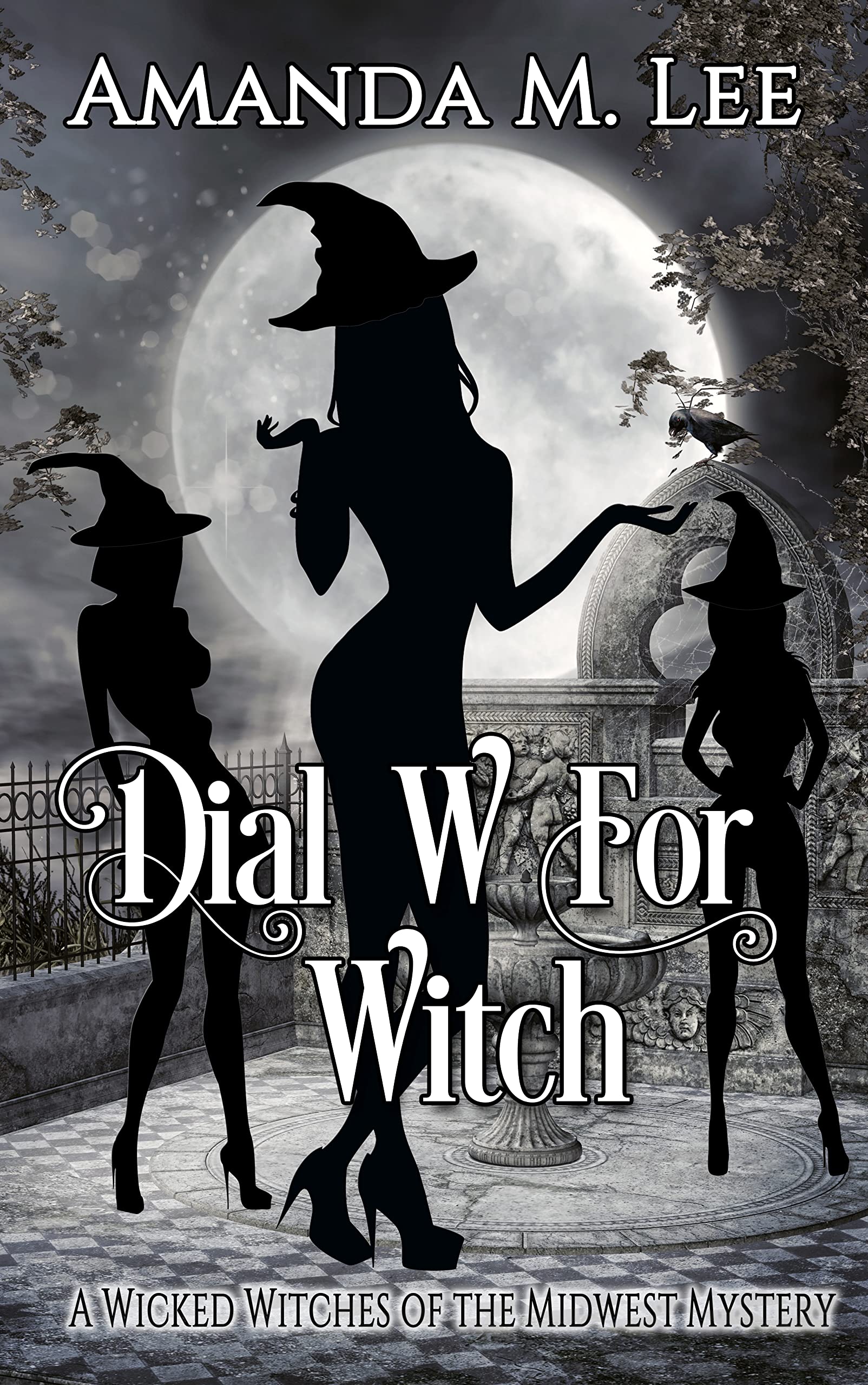 Dial W For Witch book cover