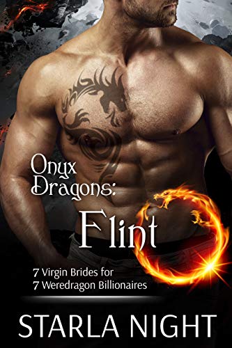 Onyx Dragons book cover