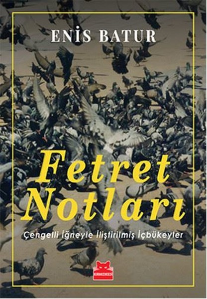Fetret Notları book cover