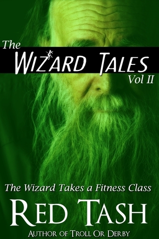 The Wizard Tales book cover 2