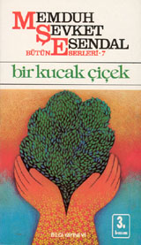 Bir Kucak Çiçek book cover