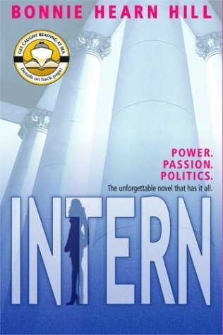 Intern book cover