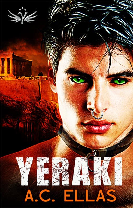 Rovani Chronicles book cover 2