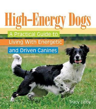High-Energy Dogs book cover