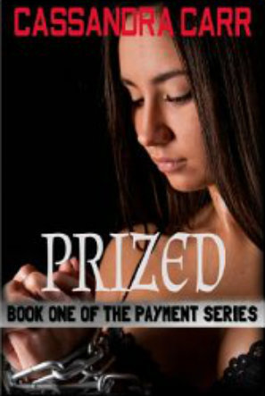 The Payment book cover 1
