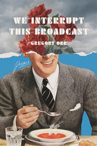We Interrupt This Broadcast book cover