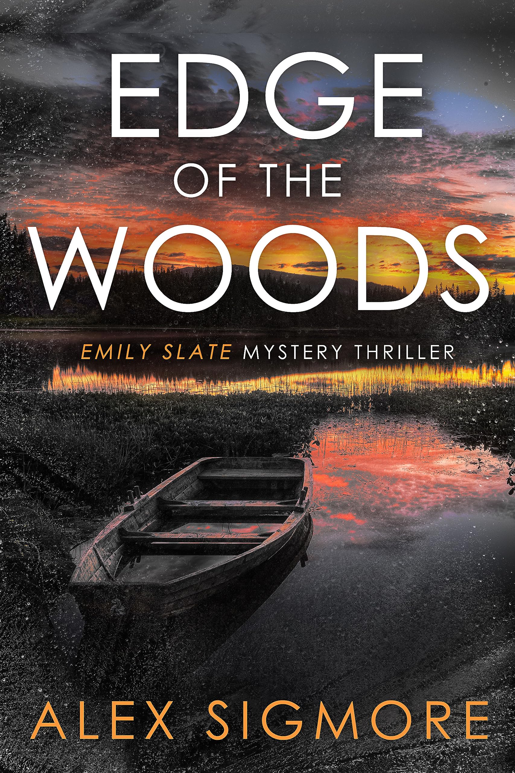 Edge of the Woods book cover