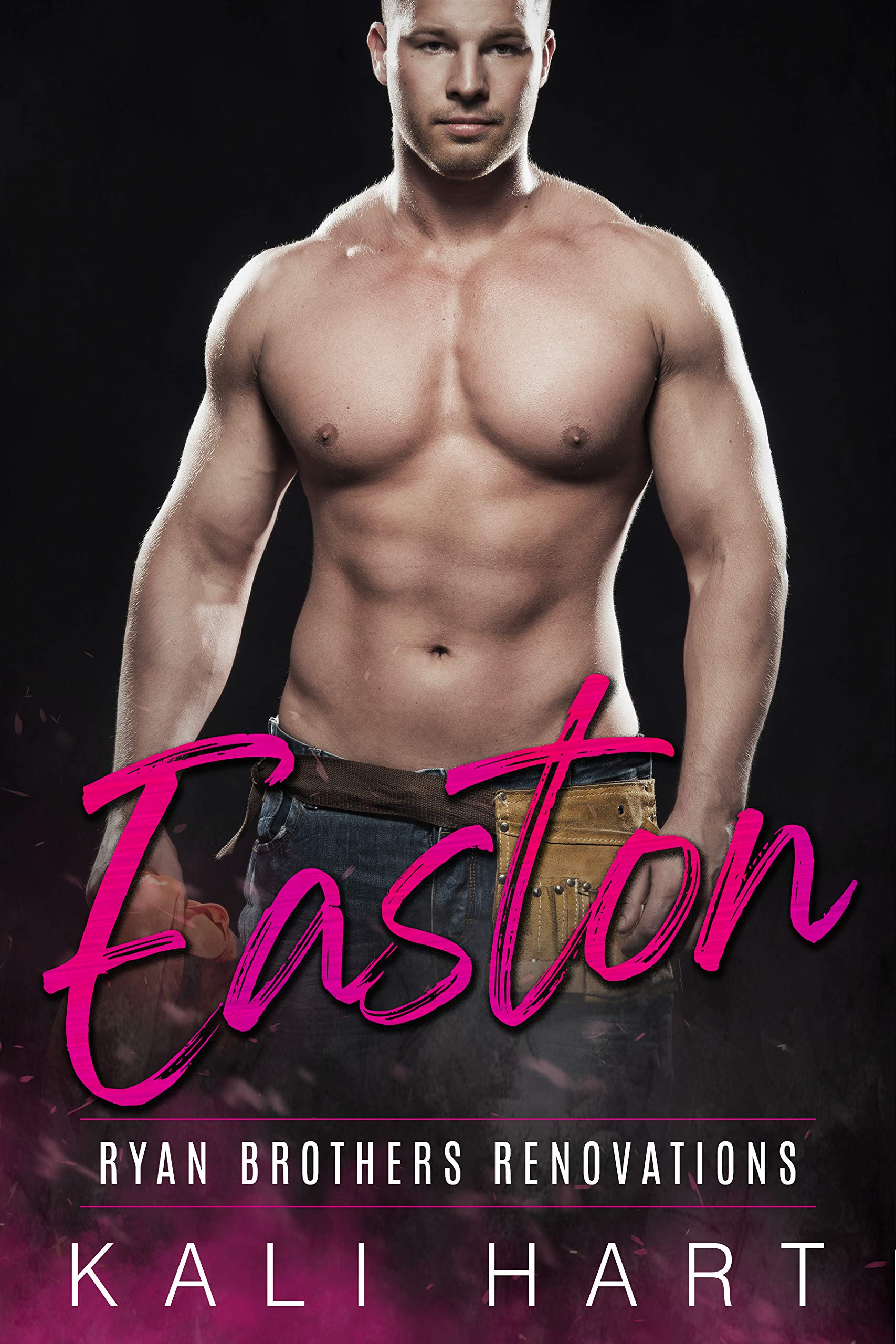 Ryan Brothers Renovations book cover 2