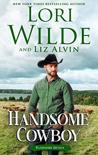 Handsome Cowboy book cover