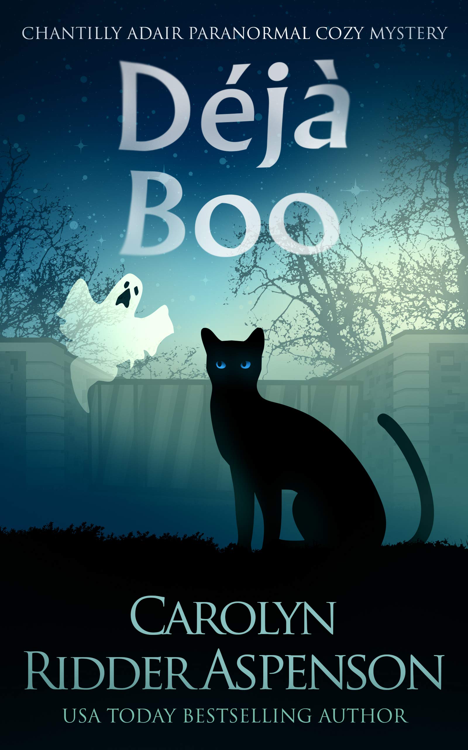 Déjà Boo book cover