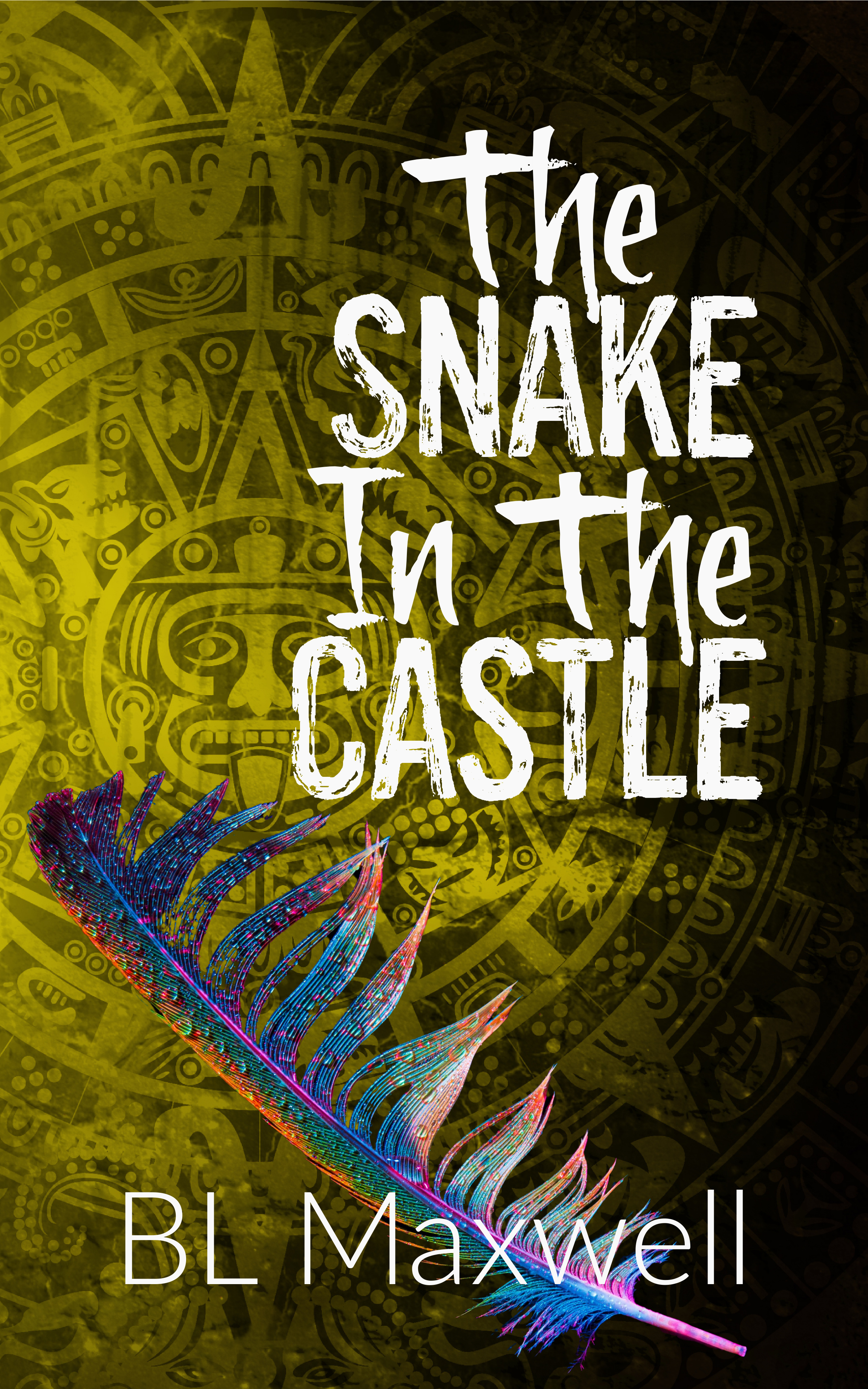 The Snake In The Castle book cover