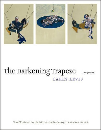 The Darkening Trapeze book cover