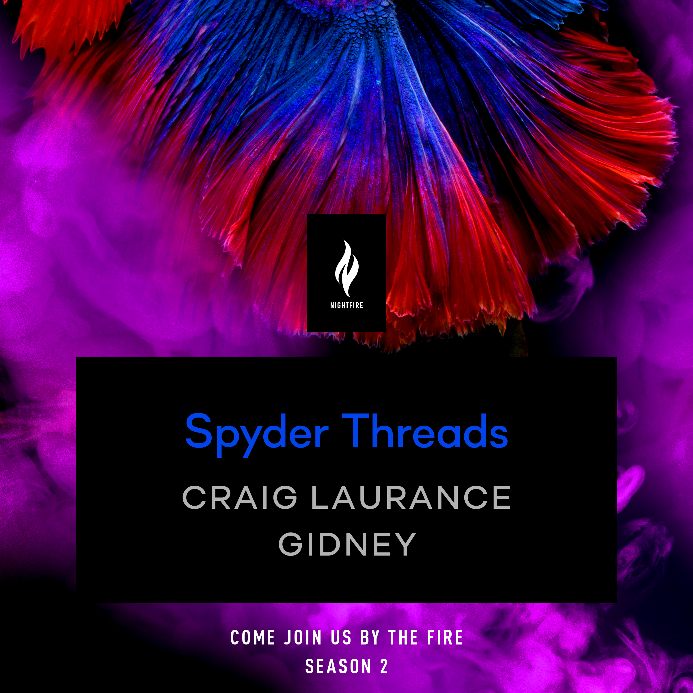 Spyder Threads book cover
