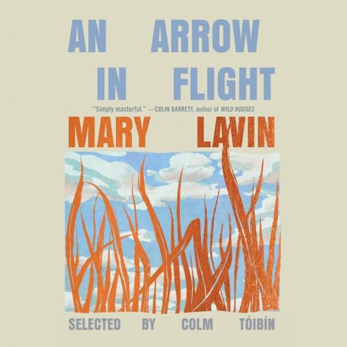 An Arrow in Flight book cover
